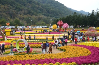 ‘인제, 꽃길만 걷자’···22일부터 인제 가을꽃축제