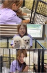 박세미, 전 남친 지인과 유기견 봉사 “같은 견주끼리···”