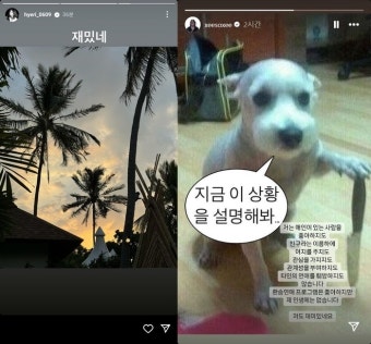 한소희, ‘류준열 EX’ 혜리에 맞불? 나서서 키우는 ‘미묘한 열애설’[스경연예연구소]