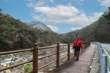 “바람 따라 한들한들, 강물 따라 살랑살랑…봄 마중 가는 길”[투어테인먼트]