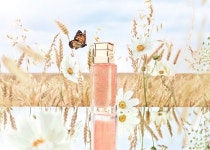 디올 뷰티, 감사의 달 5월 베스트 기프트 셀렉션 제안