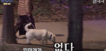 [전문] 이경규 ‘존중냉장고’, 진돗개 혐오 조장 논란에 “상처 드려 죄송”