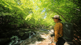 ‘영상앨범 산’ 어사 박문수 전설이 살아 숨 쉬는 그림 같은 계곡, 무주 구천동 어사길