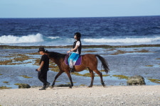 ‘판도라’ 싸이판, 갈 데까지 가 본 사이판…티니안과 ‘짝’ 먹고 ‘일짱’ 힐링 인 투어·‘맞짱’ 폴링 인 ...