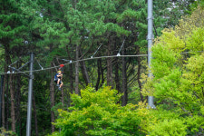 빵지순례·역사기행·어드벤처…도심과 자연 잇는 ‘여행특별시’[투어테인먼트]
