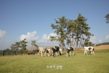 상하목장, 국내 최초 저탄소 인증 획득