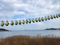 장흥, 맛·멋·멍→여행삼합…‘짱’흥 일세[투어테인먼트]