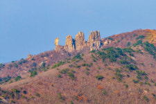장흥, 맛·멋·멍→여행삼합…‘짱’흥 일세[투어테인먼트]