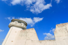 장흥, 맛·멋·멍→여행삼합…‘짱’흥 일세[투어테인먼트]