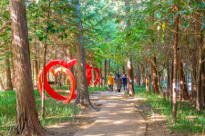 장흥, 맛·멋·멍→여행삼합…‘짱’흥 일세[투어테인먼트]