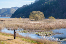 장흥, 맛·멋·멍→여행삼합…‘짱’흥 일세[투어테인먼트]