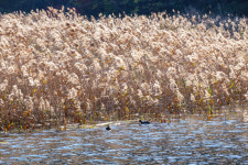 장흥, 맛·멋·멍→여행삼합…‘짱’흥 일세[투어테인먼트]