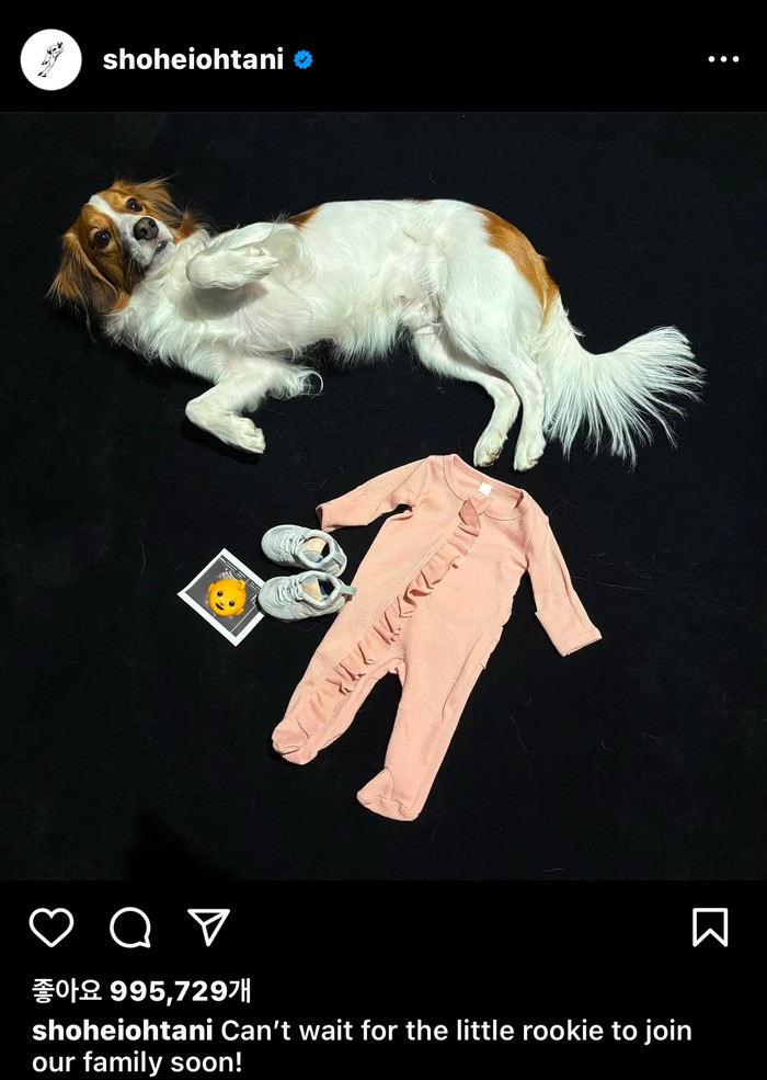 오타니 쇼헤이, 메이저리그에서 루키 시즌에 빛나는 활약으로 이목 집중