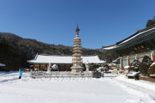 “청정 힐링, 고운 눈(雪)빛~ 겨울 속 평창, 좋아”[투어테인먼트]