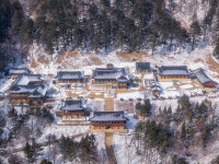 “청정 힐링, 고운 눈(雪)빛~ 겨울 속 평창, 좋아”[투어테인먼트]
