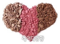 다재다능한 블러셔의 매력에 흠뻑 빠지다! Blusher Technique
