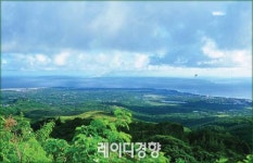 자연의 품이 그리워 숲으로 간다…고요한 초록빛 쉼터 ‘자연휴양림’