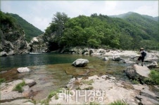 [자전거로 찾아가는 문화기행]①문화와 레포츠의 도시로 거듭난 강원도 양구