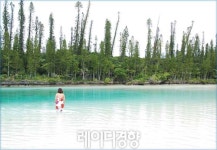 [길 떠나는 길]푸른 산호초, 라군…상상 이상의 아름다움 뉴칼레도니아