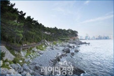 화려한 도시의 찬란한 바다가 반기는 부산 해운대