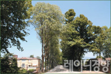 [자전거로 찾아가는 문화기행 ]‘조각가들의 천국’ 이탈리아 피에트라산타