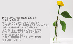 이화자꽃플라워 | [플라워 스타일링]한두 송이 아담하게 꽃꽂기