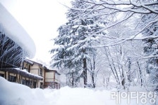 [길 떠나는 길]설국(雪國)을 가다 - 니가타
