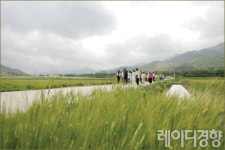 섬진강 따라 봄 마중…지리산 숲길 & 하동 토지길 걷기 여행