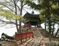 [자전거로 찾아가는 문화기행]새로운 문화 중심 파주