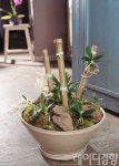 [플라워 스타일링]Indoor Gardening