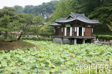 [자전거로 찾아가는 문화기행]솔향 고도(古都) 강릉을 가다