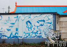 [동네 이야기]호랑이가 살고 있는 동화 같은 마을 - 안성 복거마을