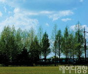 숲에서 놀자 ‘생태맹’ 엄마들을 위한 숲 놀이 가이드