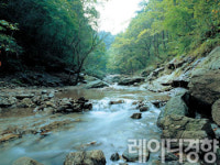 [바캉스 특집]시원한 계곡물에 발 담그고 싶다! 서울·경기 여름 계곡 10선