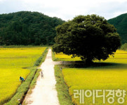 [프런트 에세이]소설가 이남희의 내 마음의 나