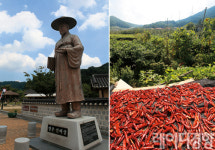 [주말에 떠나는 테마여행]선비, 입신의 꿈을 안고 길을 나서다…영주 소백산 자락길