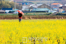 [주말에 떠나는 테마여행]보석처럼 아름다운 섬 진도, 그 속을 누비다