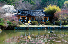 [주말에 떠나는 테마여행]보석처럼 아름다운 섬 진도, 그 속을 누비다