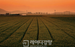 [주말에 떠나는 테마여행]전남 나주에서 일곱 가지 미션을 완수하라!