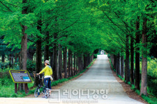 [주말에 떠나는 테마여행]전남 나주에서 일곱 가지 미션을 완수하라!