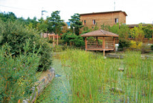 자연과 하나가 되는 숲 체험 프로그램