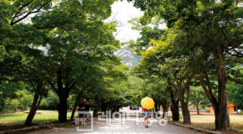 [주말에 떠나는 테마여행]나는 내변산, 너는 외변산…생거부안(生居扶安) 여행 따라잡기