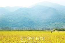 [행복 걷기]하동 토지길을 걷다