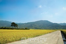 [행복 걷기]하동 토지길을 걷다