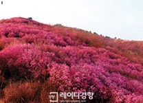 ‘봄날의 축제’ 4월을 제대로 만끽하는 방법