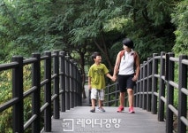 느린 걸음 보듬는 다정한 길, 안산 자락길 산책