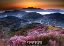 [산에 들에 봄봄]꽃향기 따라 봄 기행