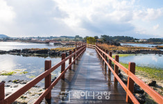 제주의 새 길을 만나다…성산·오조 지질트레일