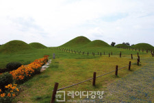 [정원 여행자] 경남 창녕 - 새들은 우포에 와서 잠든다