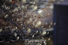 [길 위의 독서] 강화도- 붉은 연꽃 질 무렵, 아득히 그리운 당신이 지나갔다